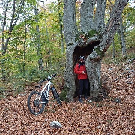 La Bottega Del Fabbro Affitto Breve Villa Contigliano Exteriör bild