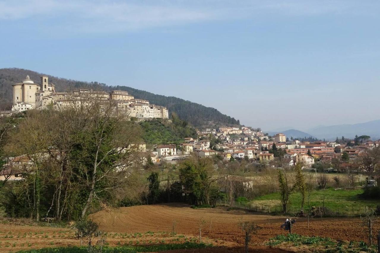 La Bottega Del Fabbro Affitto Breve Villa Contigliano Exteriör bild