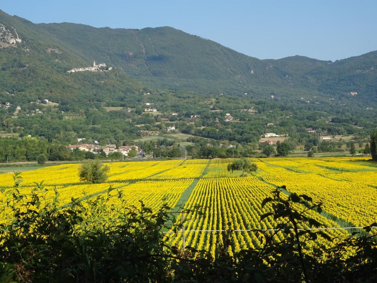 La Bottega Del Fabbro Affitto Breve Villa Contigliano Exteriör bild