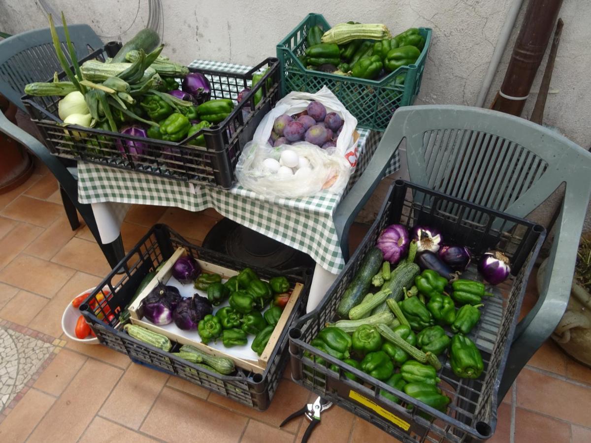 La Bottega Del Fabbro Affitto Breve Villa Contigliano Exteriör bild
