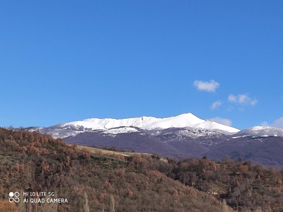 La Bottega Del Fabbro Affitto Breve Villa Contigliano Exteriör bild