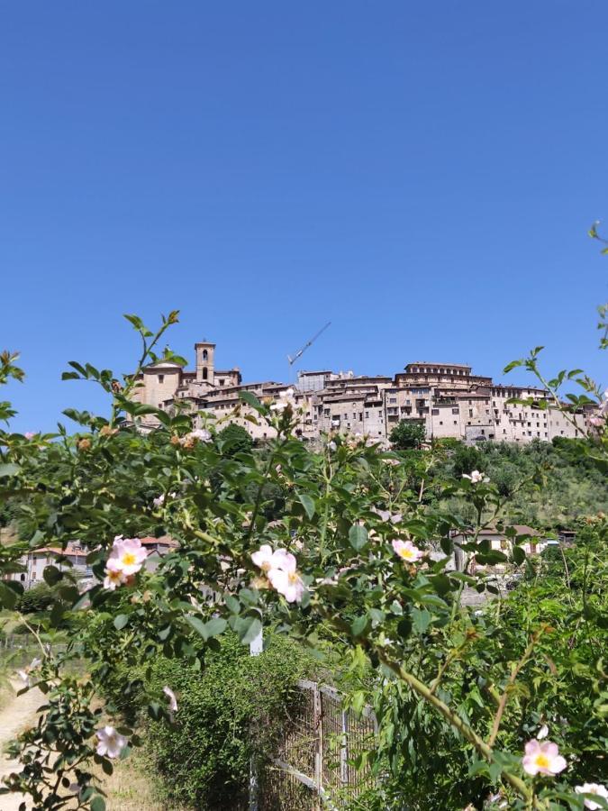 La Bottega Del Fabbro Affitto Breve Villa Contigliano Exteriör bild